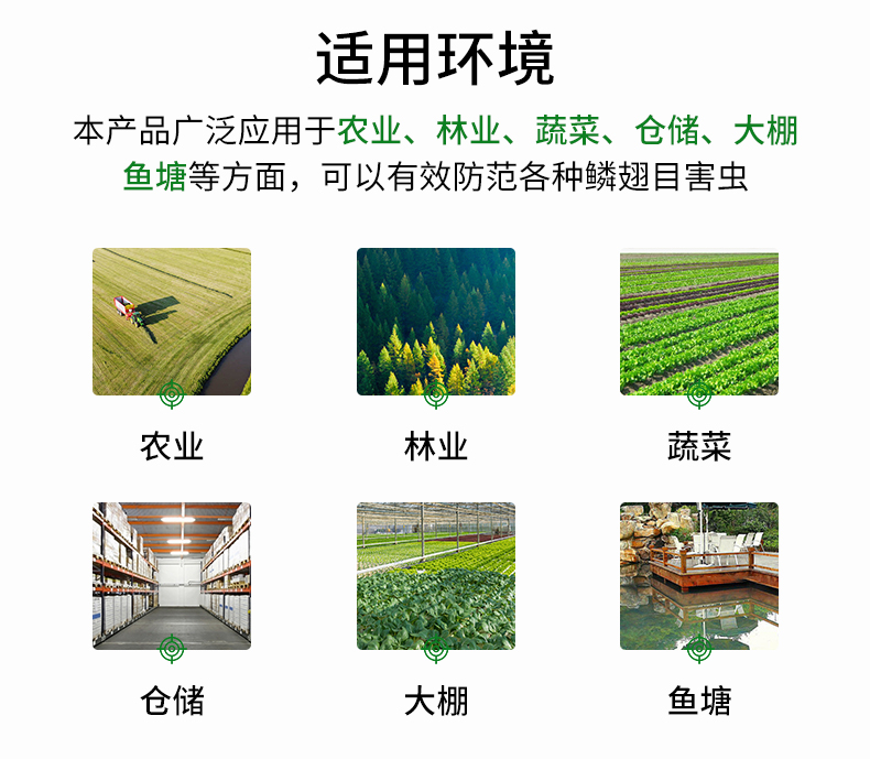 風吸式殺蟲燈(圖17)