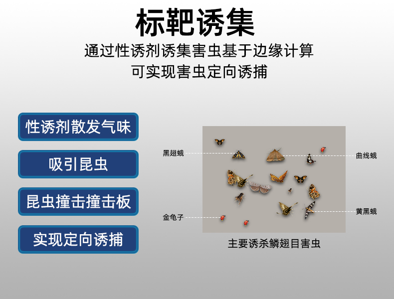 標(biāo)靶蟲情監(jiān)測(圖11)