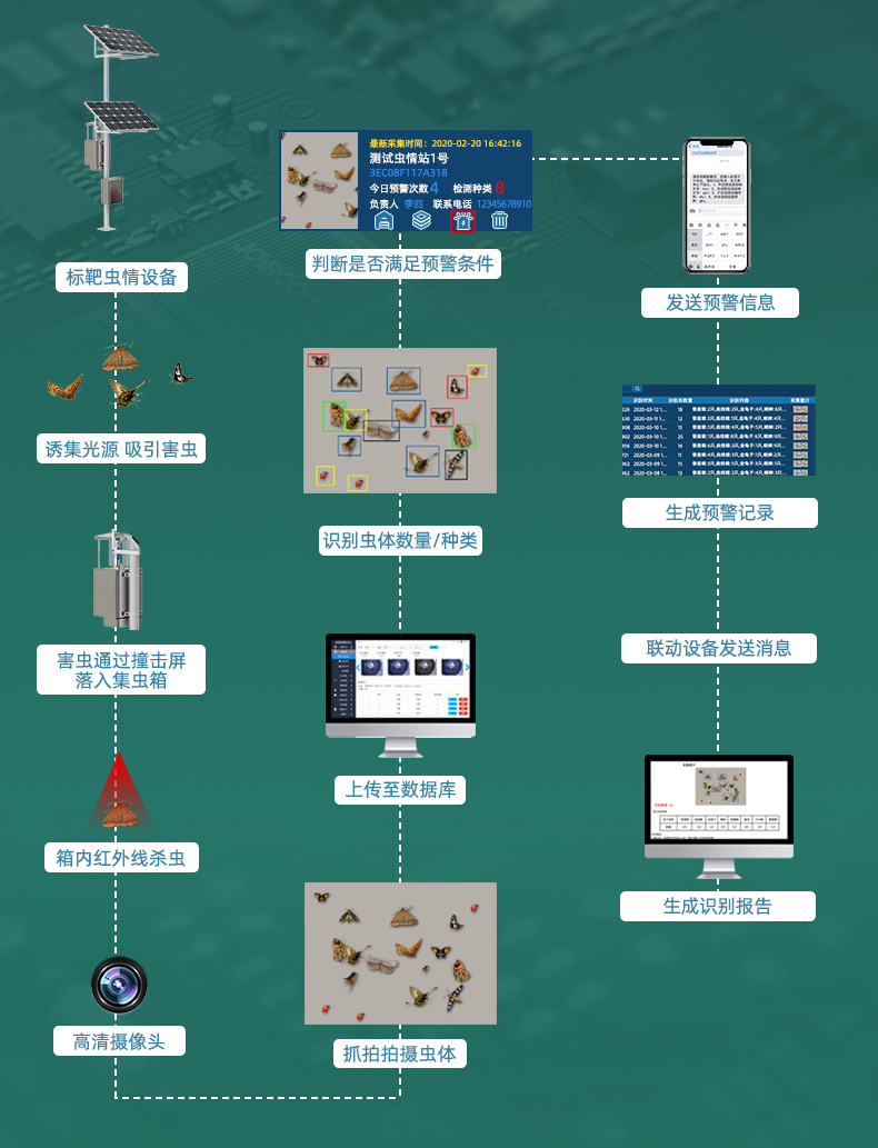 標(biāo)靶蟲情監(jiān)測(圖6)